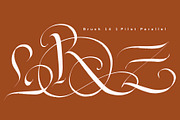 CalligraphyMasters Procreate Brushes, a Brush Add-On by the Fontmaker (Thumbnail 11 of 38)