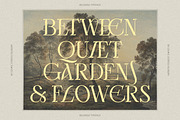 Bellrose Display Serif Font, a Serif Font by CarmineType (Thumbnail 2 of 24)