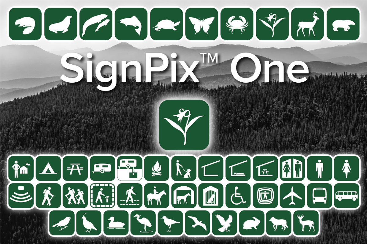 SignPix One
