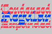 Gothalian, a Serif Font by Sudtipos (Thumbnail 4 of 8)