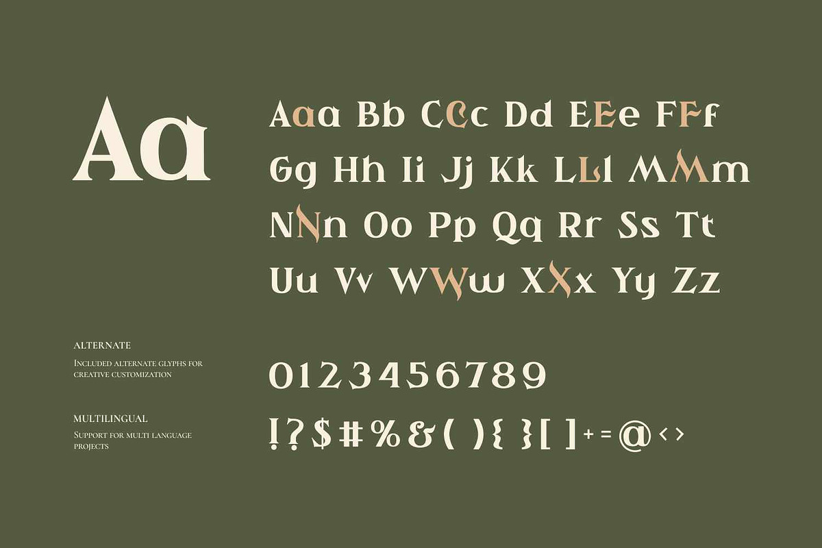 Ahiore - Retro Serif, a Serif Font by Imoodev (Photo 5 of 5)