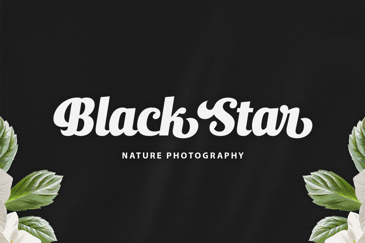 Ralsteda Font Family, a Script Font by Seniors (Photo 8 of 18)