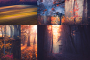 Red Aurora Artistic Lightroom Preset, an Action Add-On by Mark Borbely (Thumbnail 2 of 14)