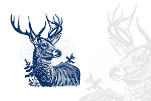 130 American Animals Illustrations