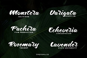 Odenson, a Script Font by edukka (Thumbnail 3 of 10)