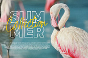 Palmaera - Signature Display Typefac, a Handwritten Font by VASTARD STUDIO (Thumbnail 11 of 12)