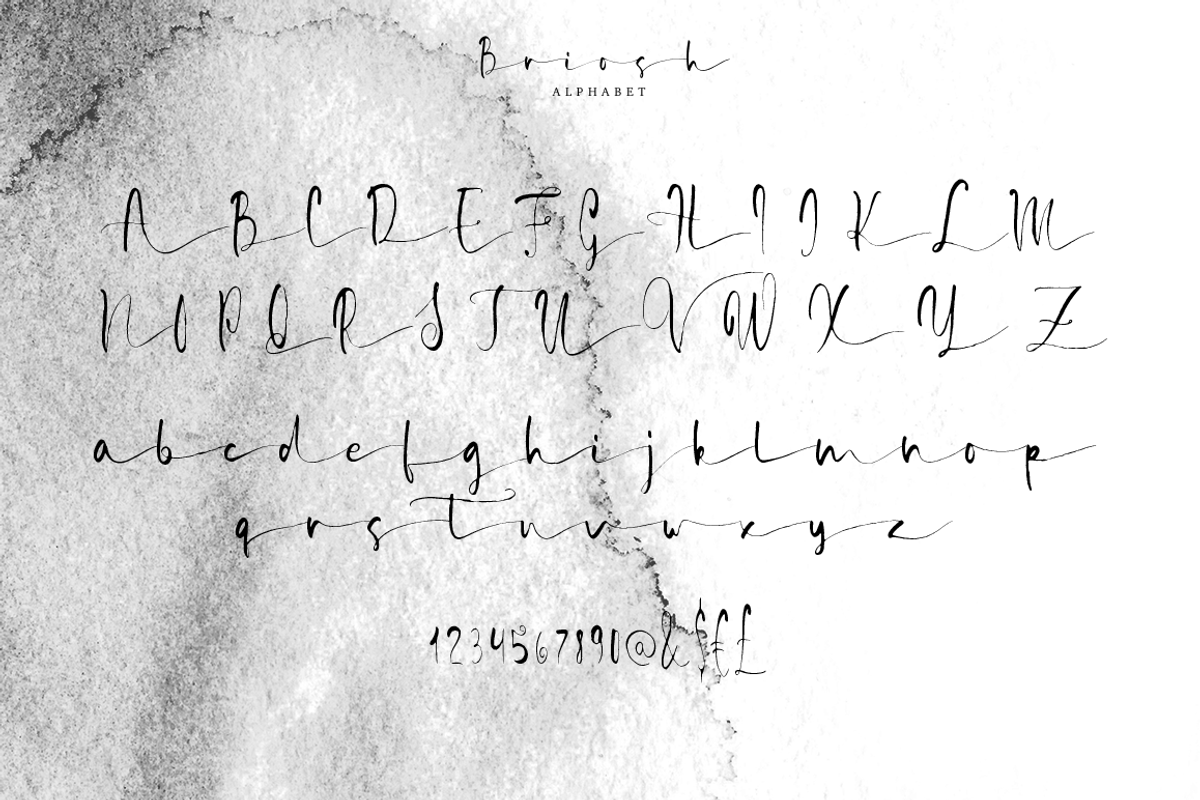 Briosh, a Script Font by Larin Type Co. (Photo 10 of 12)