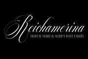 Reichamerina font family, a Serif Font by Ryul Davidson (Thumbnail 1 of 27)