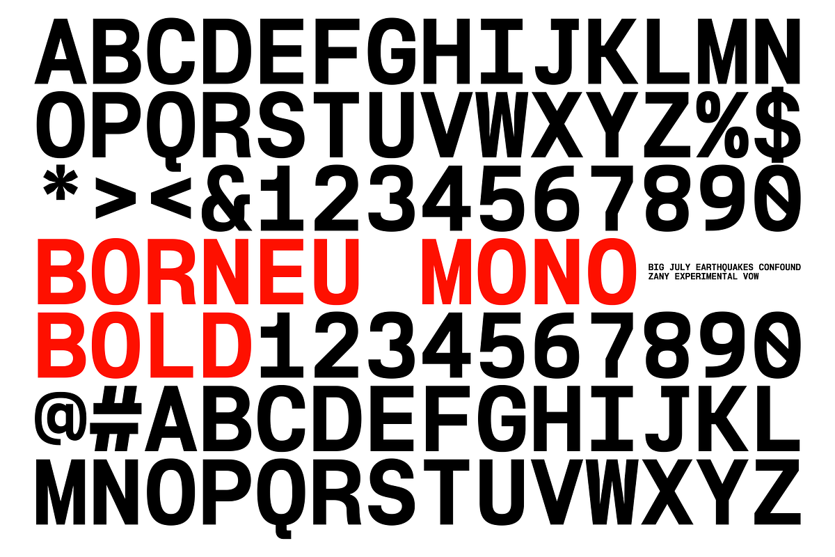 Borneu Mono Regular, a Sans Serif Font by BorneuStd (Photo 8 of 10)