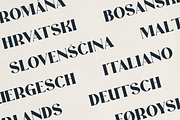 Veloura Serif Font – Elegant Type, a Serif Font by Only Fonts (Thumbnail 6 of 11)
