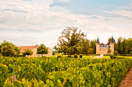 wine France landscape, a Nature Photo by ariadna de raadt
