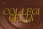 Alpinecia, a Serif Font by Pista Mova (Thumbnail 9 of 19)