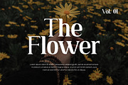 Tribenidaz Serif Display Font, a Serif Font by UICreative (Thumbnail 2 of 4)