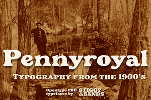 Pennyroyal
