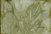36 ECO Dyed paper - Forest Floor, a Texture Graphic by LianaScrap (Thumbnail 19 of 19)