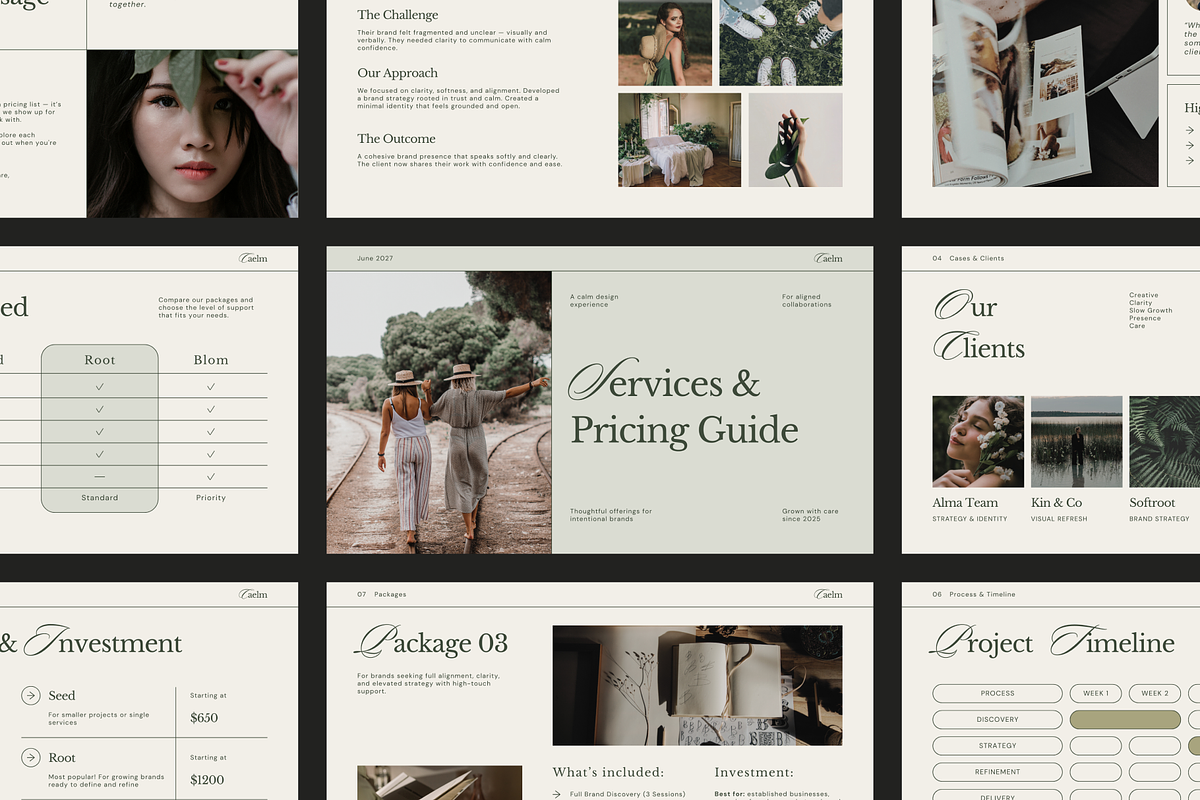 CAELM Services Pricing Guide | CANVA preview 2