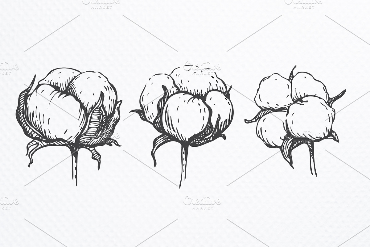 Hand drawn cotton set, a Graphic by Epine (Photo 2 of 3)