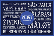 Wiley Decorative Latin & Greek Font, a Slab Serif Font by Molly Suber Thorpe (Thumbnail 14 of 16)