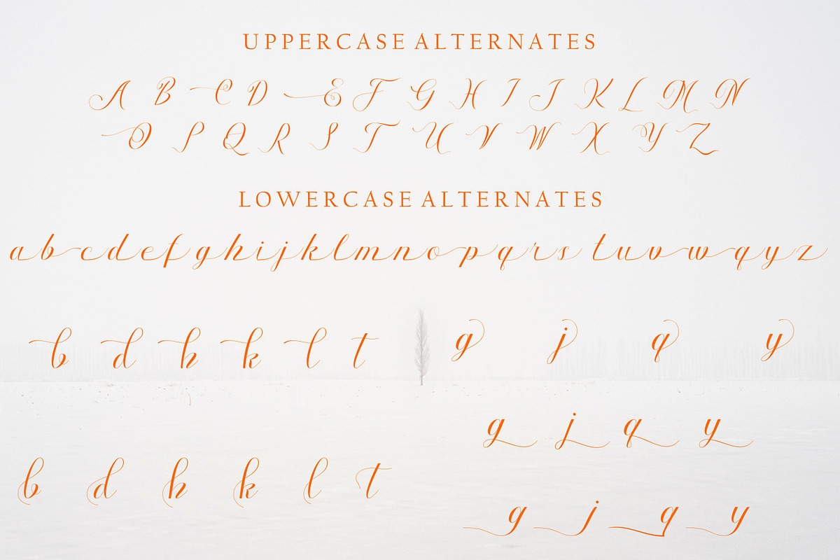 Autumn, a Script Font by Funtype (Photo 8 of 9)