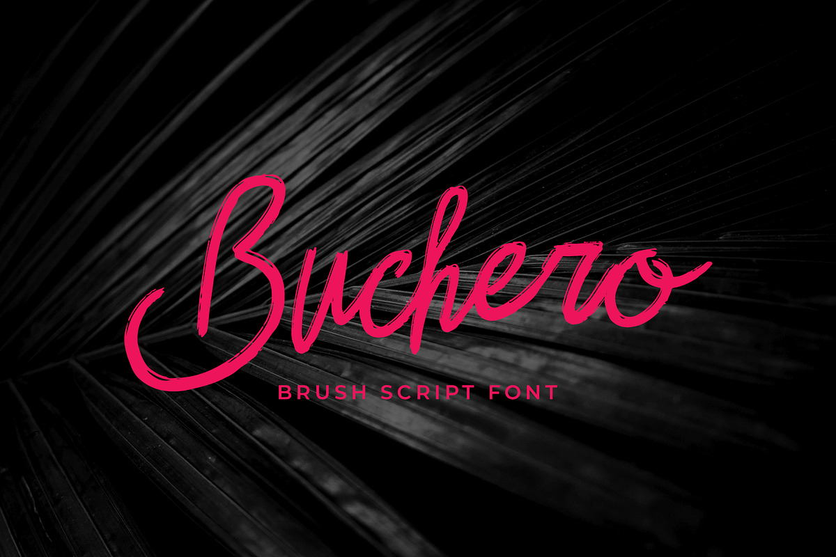 Buchero Brush Script Font, a Script Font by Dawnside Graphic (Photo 1 of 13)