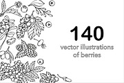 Vector berries, an Illustration by risovanya (Thumbnail 1 of 9)