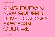 Rinjani Sans - Wide Stretch Typeface, a Sans Serif Font by CCS Type (Thumbnail 4 of 19)