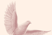 Design set Pigeons.Vector engraving, an Animal Illustration by Vector Engraving (Thumbnail 4 of 4)
