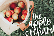 Holiday Wishes | Modern Script Font, a Script Font by KA Designs (Thumbnail 13 of 13)