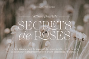 Monarque - Classy Serif Type Family, a Serif Font by The Paper Town (Thumbnail 3 of 15)