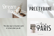 Modern Serif & Sans Serif Bundle, a Serif Font by Flawless And Co (Thumbnail 11 of 12)