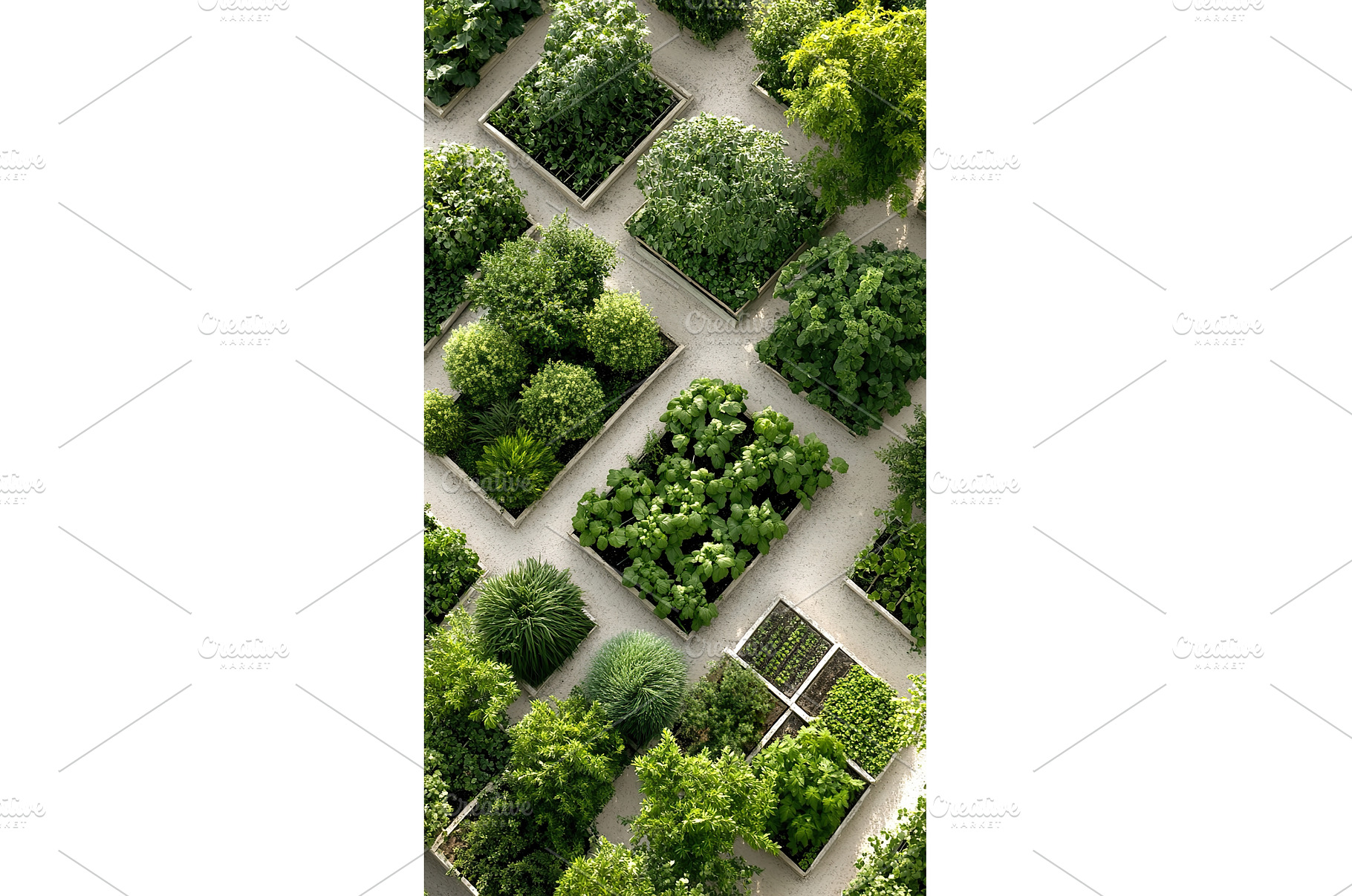 Lush green geometric garden with, a Nature Photo by Lermont51