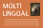 CS Briscoe Drawn, a Sans Serif Font by Craft Supply Co. (Thumbnail 6 of 8)