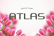 Atlas Summer Font, a Script Font by DmDesignsStoreArt (Thumbnail 1 of 2)