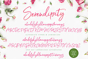 Serendipity Handwritten Font, a Script Font by Nicky Laatz (Thumbnail 16 of 18)