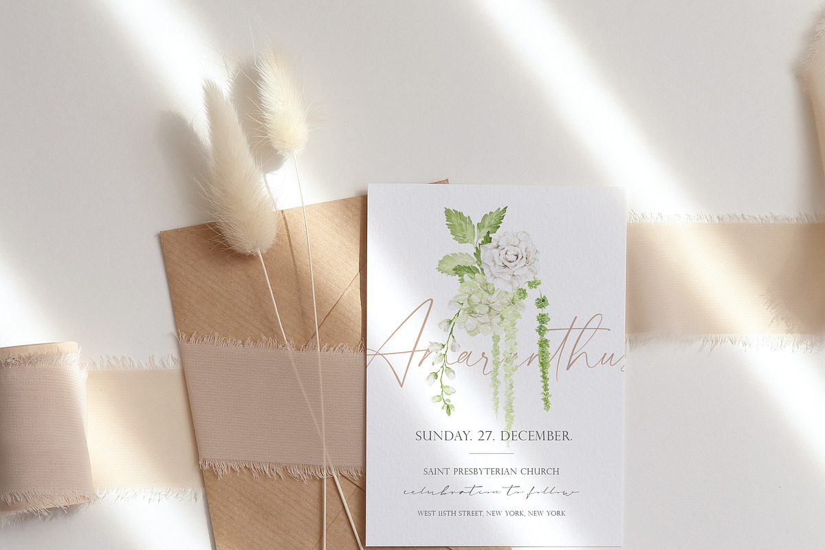 Watercolor Flower- AMARANTHUS, a Decorative Illustration by Beigetime (Photo 10 of 15)