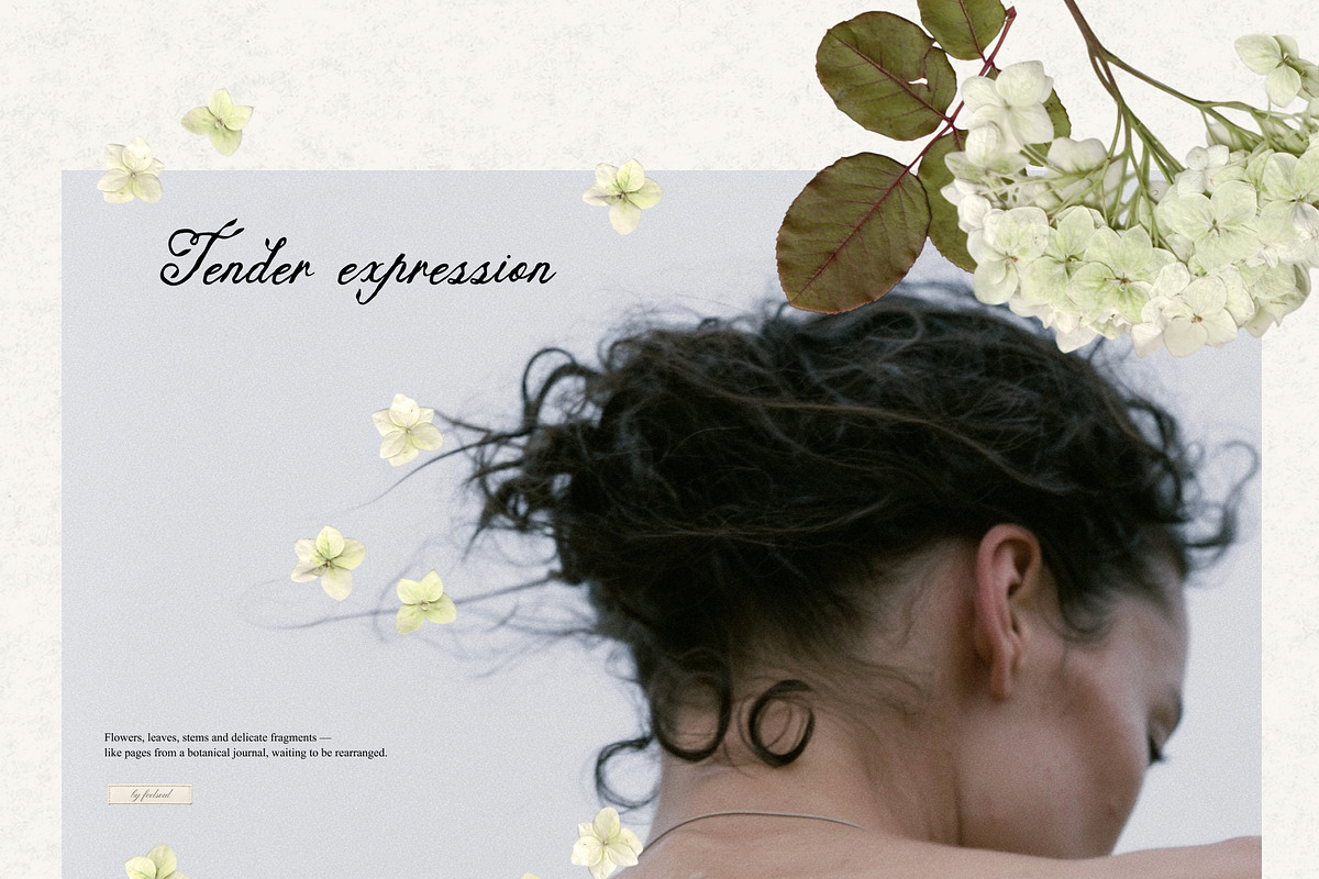 Tender Flora: Botanical Scrapbook, an Object Graphic by Feelsoul (Photo 3 of 10)