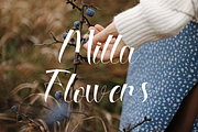 Millariana Handwritten Font., a Handwritten Font by VectorCraft (Thumbnail 2 of 5)
