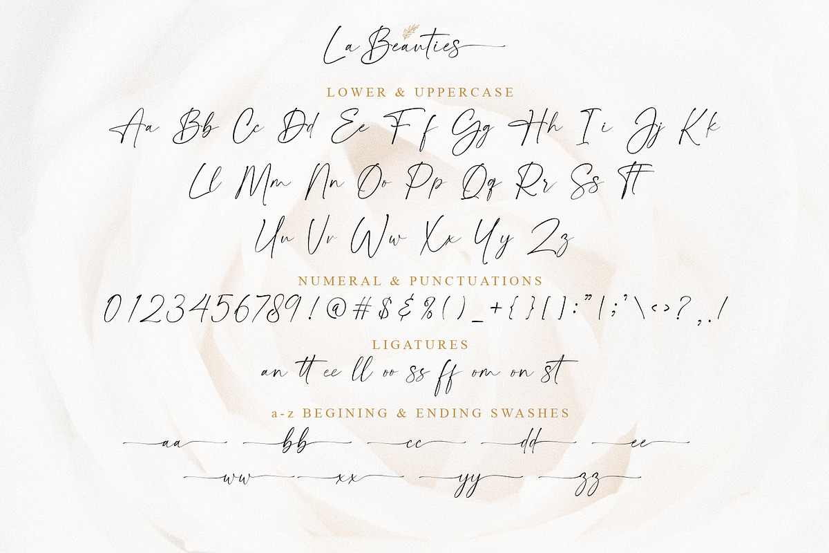 La Beauties | Casual Handwritten, a Script Font by MJB Letters (Photo 11 of 11)