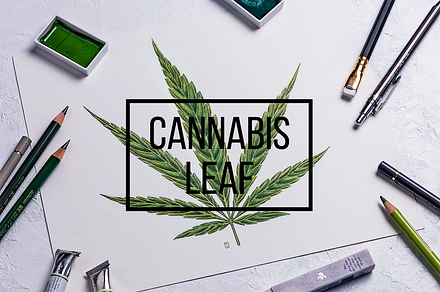 Botanical hand drawing - indica leaf