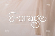 Bridgest, a Serif Font by Attract Studio (Thumbnail 7 of 17)