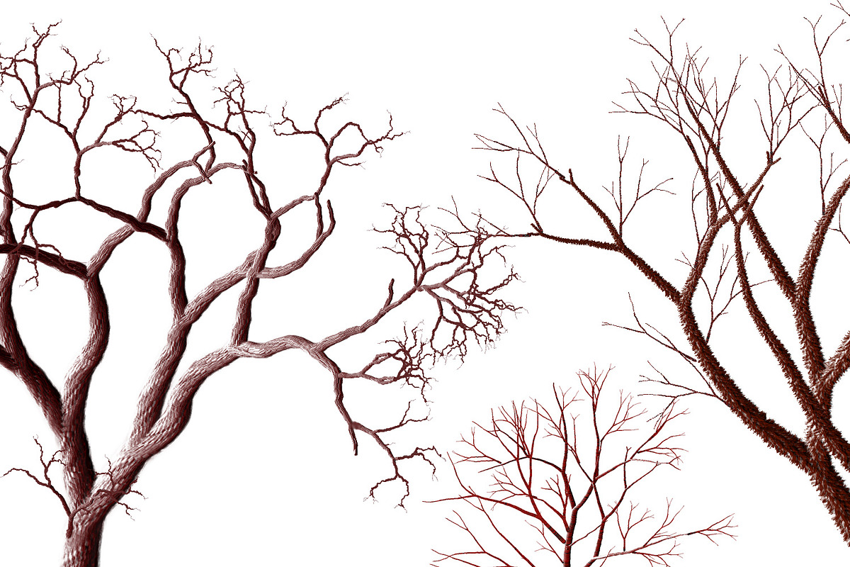 13 PNG images - Bare Trees, a Print Template by Kseniya-Omega (Photo 2 of 3)