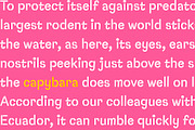 Capybara Stencil + Cyrillic, a Sans Serif Font by Rodrigo Typo (Thumbnail 5 of 5)