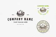 Wine Field, a Branding & Logo Template by lineandcircle (Thumbnail 1 of 5)