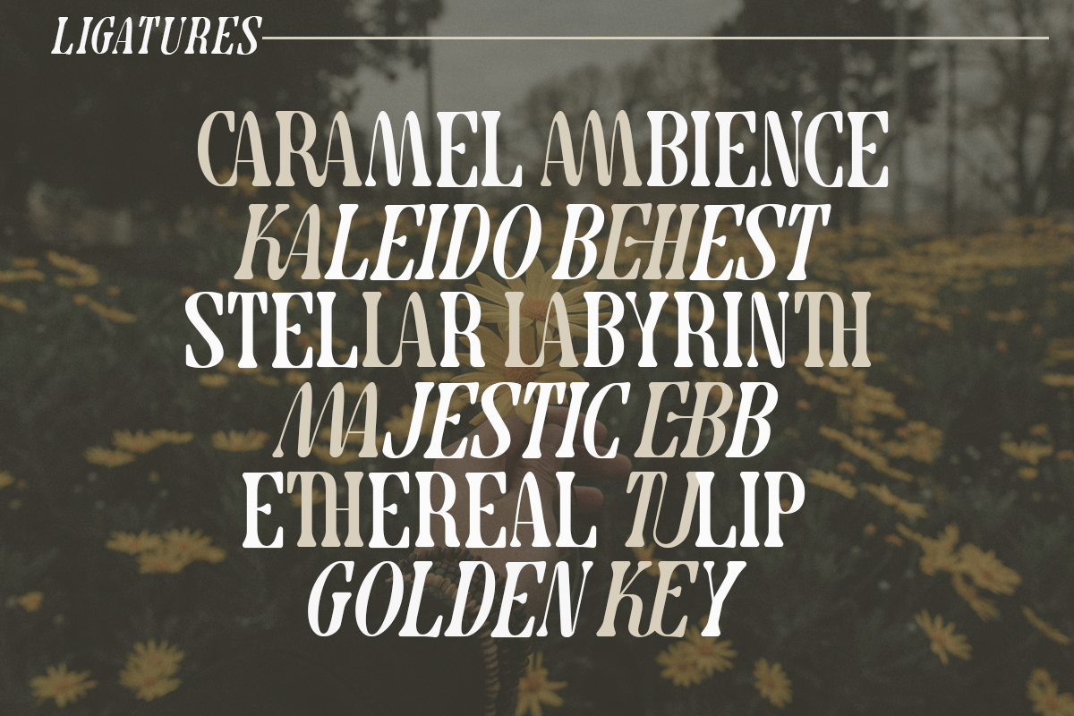 Cravela - Modern Serif, a Serif Font by Say Studio (Photo 2 of 14)