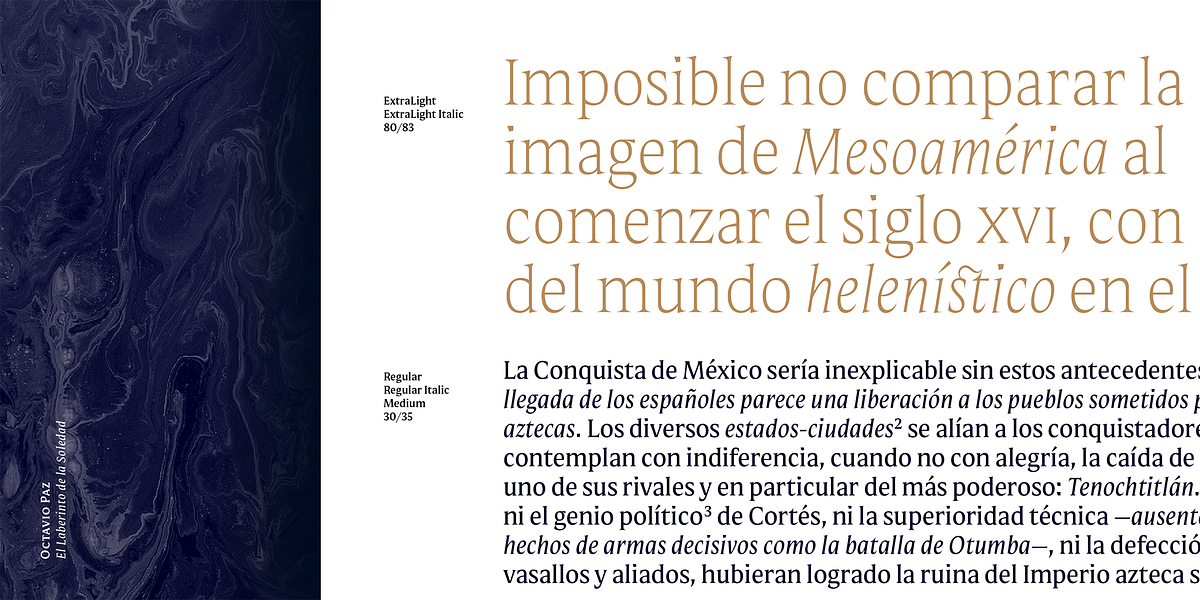 Mestiza, a Serif Font by Lechuga Type (Photo 4 of 16)
