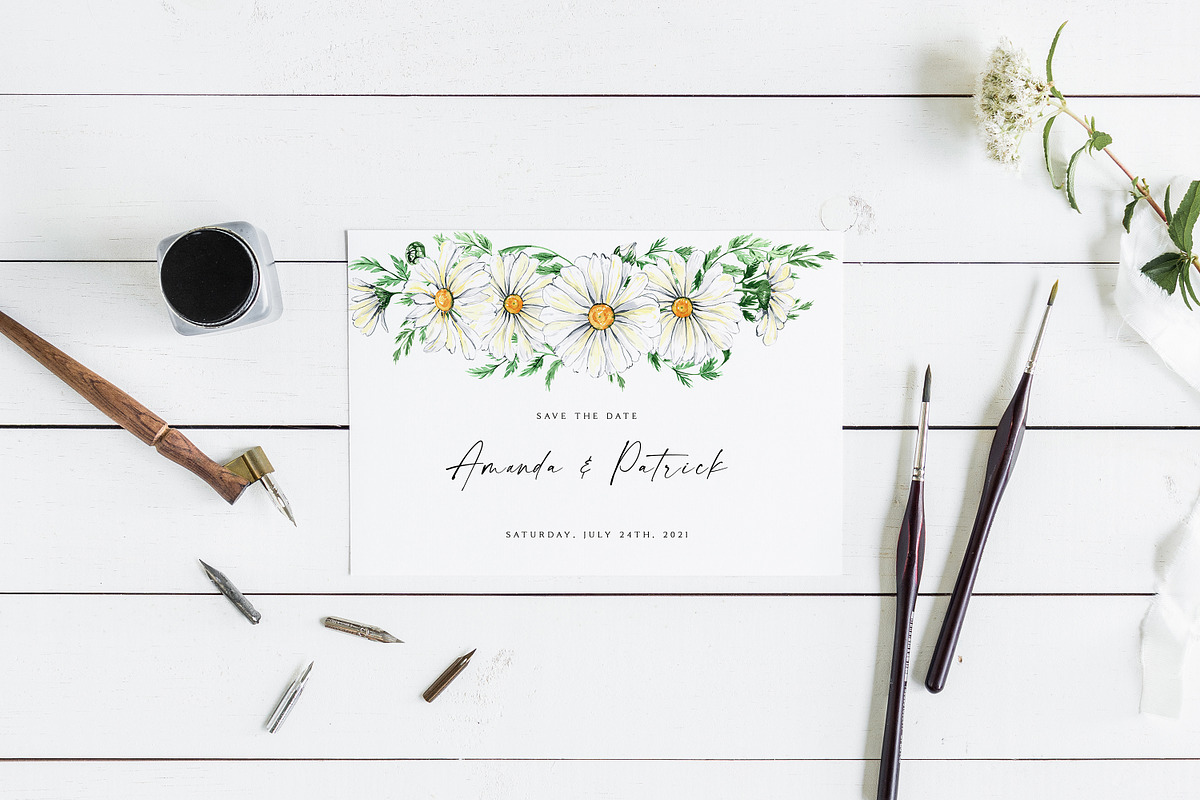 Watercolor Daisies, an Object Illustration by Olga Koelsch (Photo 8 of 12)