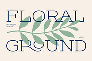 Theoris Slab Serif Font, a Slab Serif Font by Genetype (Thumbnail 7 of 8)