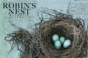 Robin's Nest Vector Illustration, a Decorative Illustration by Digital Art Downloads (Thumbnail 1 of 3)
