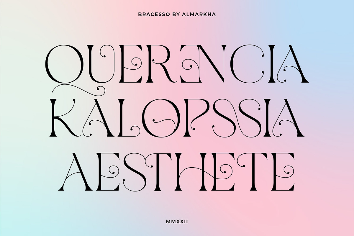 Bracesso - Stylish Display Serif, a Serif Font by Almarkhatype (Photo 6 of 11)