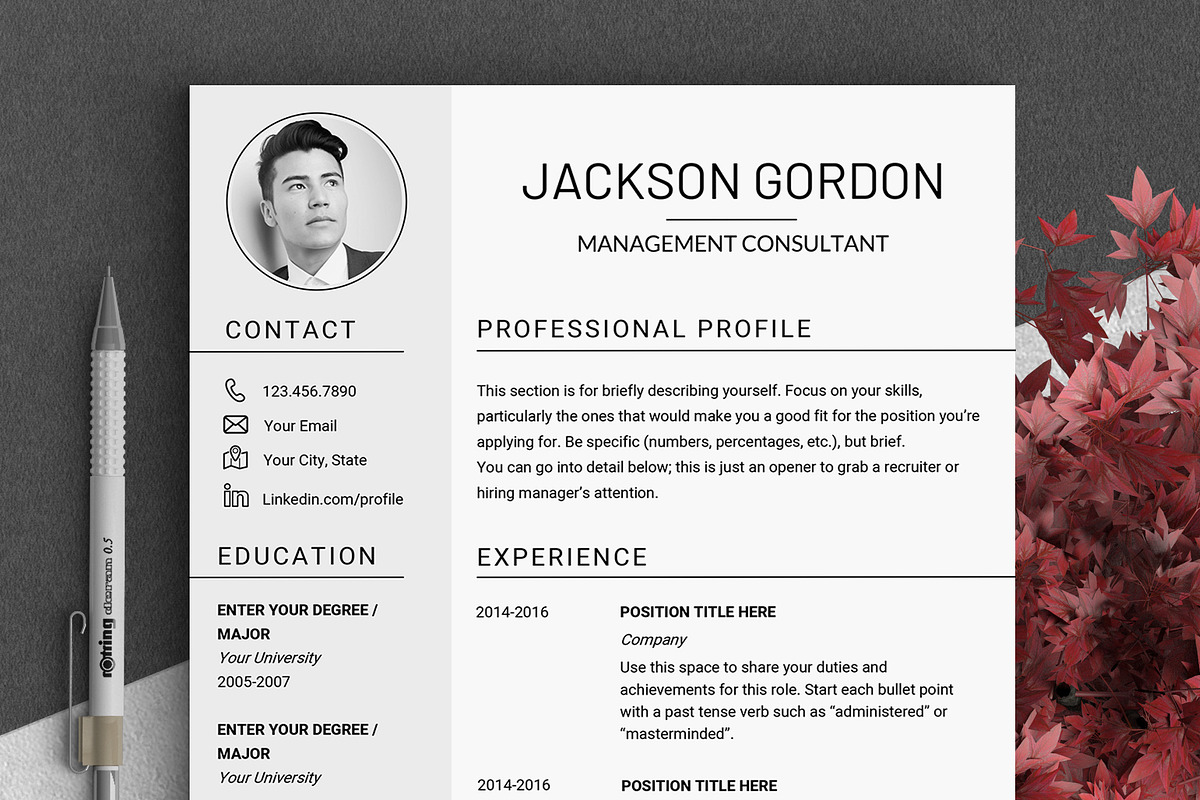Professional RESUME TEMPLATE / JG, a Resume Template by LevelUpResume (Photo 1 of 5)